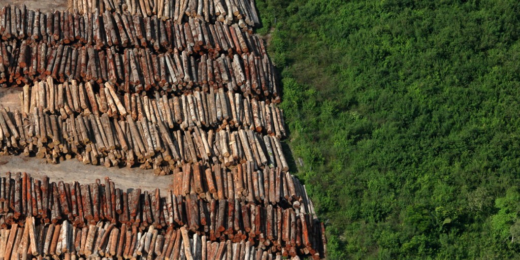 Brasil, Santarém, PA. 05/06/2009. Madeireira ao lado de área com vegetação ainda nativa, preservada, no município de Santarém. A cidade é conhecida como a "Pérola do Tapajós", devido ao rio que banha a cidade. - Crédito:ALBERTO CÉSAR ARAÚJO/AE/AE/Codigo imagem:41882