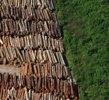 Brasil, Santarém, PA. 05/06/2009. Madeireira ao lado de área com vegetação ainda nativa, preservada, no município de Santarém. A cidade é conhecida como a "Pérola do Tapajós", devido ao rio que banha a cidade. - Crédito:ALBERTO CÉSAR ARAÚJO/AE/AE/Codigo imagem:41882