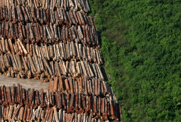 Brasil, Santarém, PA. 05/06/2009. Madeireira ao lado de área com vegetação ainda nativa, preservada, no município de Santarém. A cidade é conhecida como a "Pérola do Tapajós", devido ao rio que banha a cidade. - Crédito:ALBERTO CÉSAR ARAÚJO/AE/AE/Codigo imagem:41882