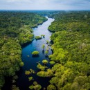 Amazonia-rio