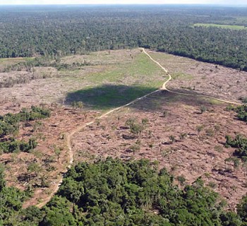 aumento-do-desmatamento-na-amazonia-8