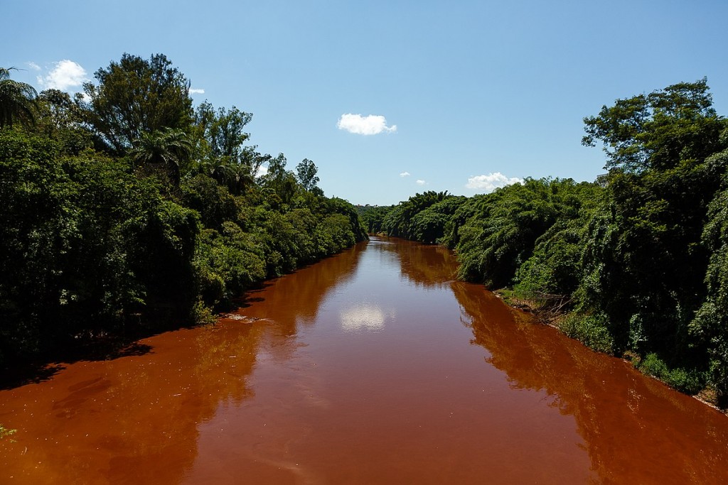 Rio Paraopeba após o rompimento da barragem em Brumadinho.