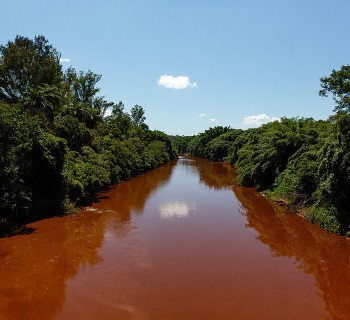 Rio Paraopeba após o rompimento da barragem em Brumadinho.