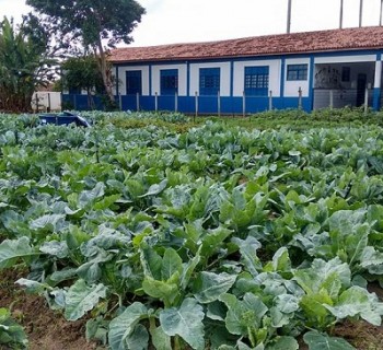 Escola-Rural-2