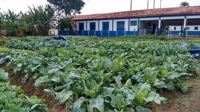 Escola-Rural-2