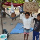 Um cajueiro se tornou a morada de indígenas Warao. Cartaz anuncia pedido de ajuda para comer