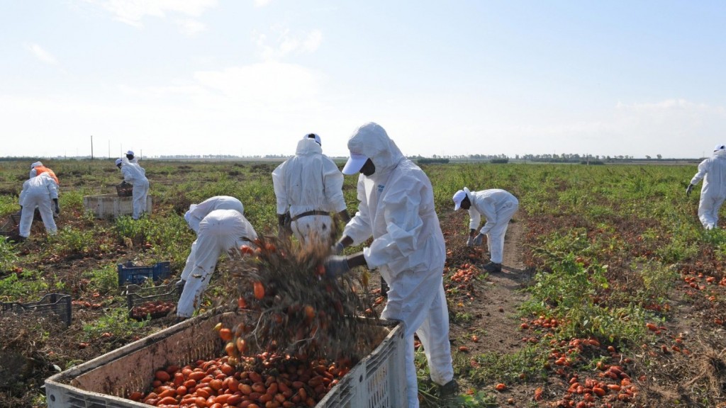 agricultores_exploracao