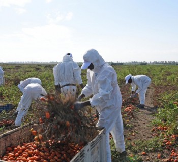 agricultores_exploracao