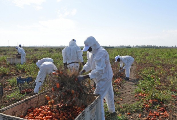 agricultores_exploracao