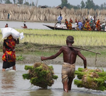 bangladesh2