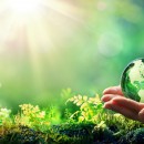 Hands Holding Globe Glass In Green Forest - Environment Concept