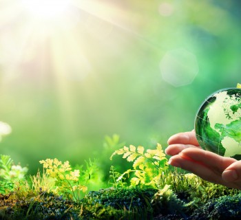 Hands Holding Globe Glass In Green Forest - Environment Concept