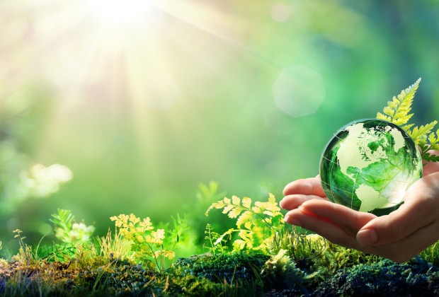 Hands Holding Globe Glass In Green Forest - Environment Concept