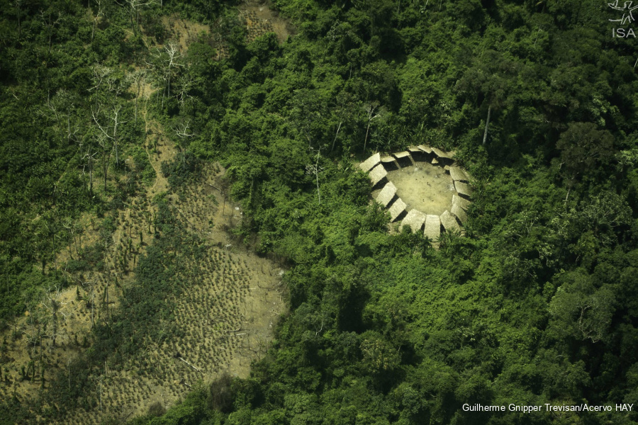 Maloca dos Moxihatëtëma, isolados da Terra Indígena Yanomami|Guilherme Gnipper Trevisan/Acervo HAY