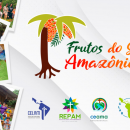 frutos-sinodo-amazonico