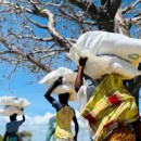 Estima-se que 1,4 milhão de moçambicanos já foram afetados pela crise – PMA Moçambique.
