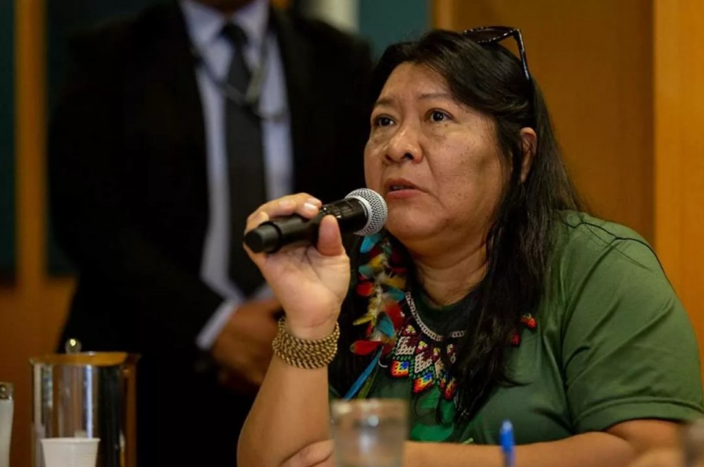 A deputada Joênia Wapichana é a presidente da Frente Parlamentar Mista em Defesa dos Povos Indígenas. Crédito da foto: Tiago Miotto/MNI