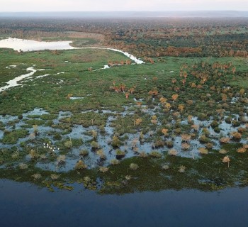 pantanal