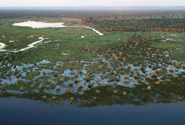 pantanal