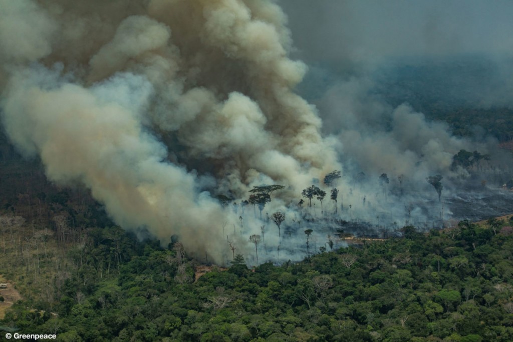 Vista aérea de uma grande queimada em Rondônia. Foto: Victor Moriyama – Greenpeace