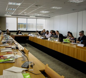 Adelar Cupsinski, assessor jurídico do Cimi, introduziu o trabalho do GT.