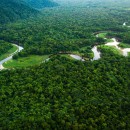 preservação-da-amazônia