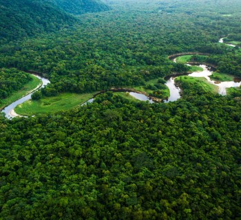 preservação-da-amazônia