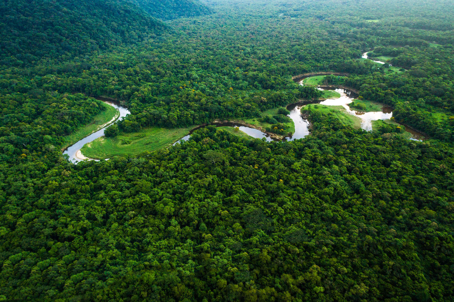 preservação-da-amazônia