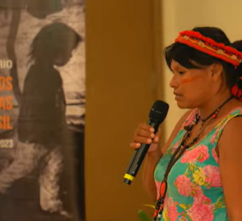 relatoriopovosindigenas24