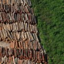 Brasil, Santarém, PA. 05/06/2009. Madeireira ao lado de área com vegetação ainda nativa, preservada, no município de Santarém. A cidade é conhecida como a "Pérola do Tapajós", devido ao rio que banha a cidade. - Crédito:ALBERTO CÉSAR ARAÚJO/AE/AE/Codigo imagem:41882