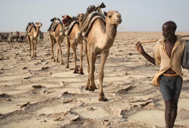 22abr2013---homem-puxa-camelos-pela-depressao-de-danakil-na-etiopia-um-dos-lugares-mais-quentes-do-planeta-1444424077775_956x500