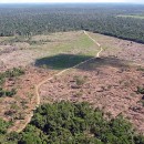 aumento-do-desmatamento-na-amazonia-8