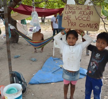 Um cajueiro se tornou a morada de indígenas Warao. Cartaz anuncia pedido de ajuda para comer