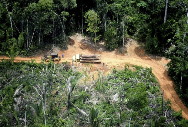 Retirada de madeira ilegal na Terra Indígena Karipuna, registrada em 2019. Foto: Chico Bata/Todos os Olhos na Amazônia