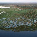 pantanal