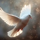 white dove with wings in the air.