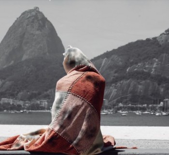 Ministério Pulico do Rio de Janeiro, da Cartilha de Orientação do Centro de Apoio Operacional das Promotorias de Justiça de Tutela Coletiva de Defesa da Cidadania.
